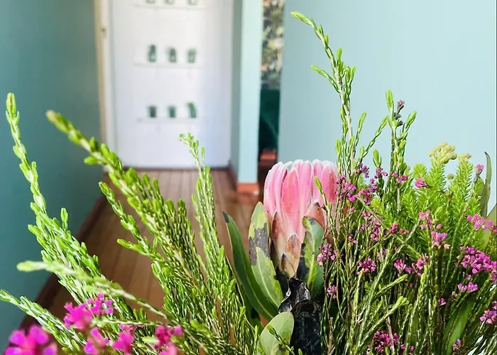Rondebosch Cottage