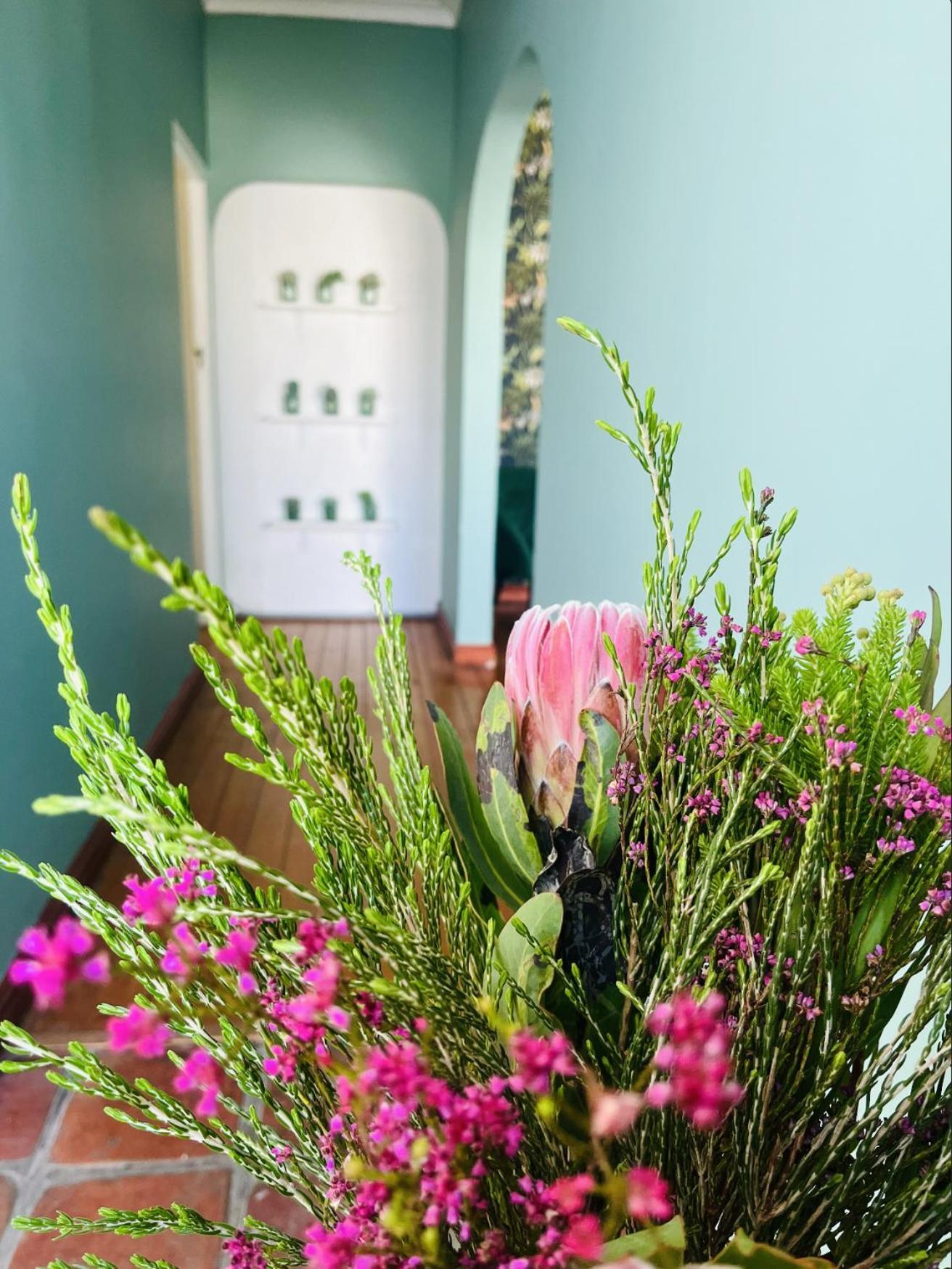 Apartment Rondebosch